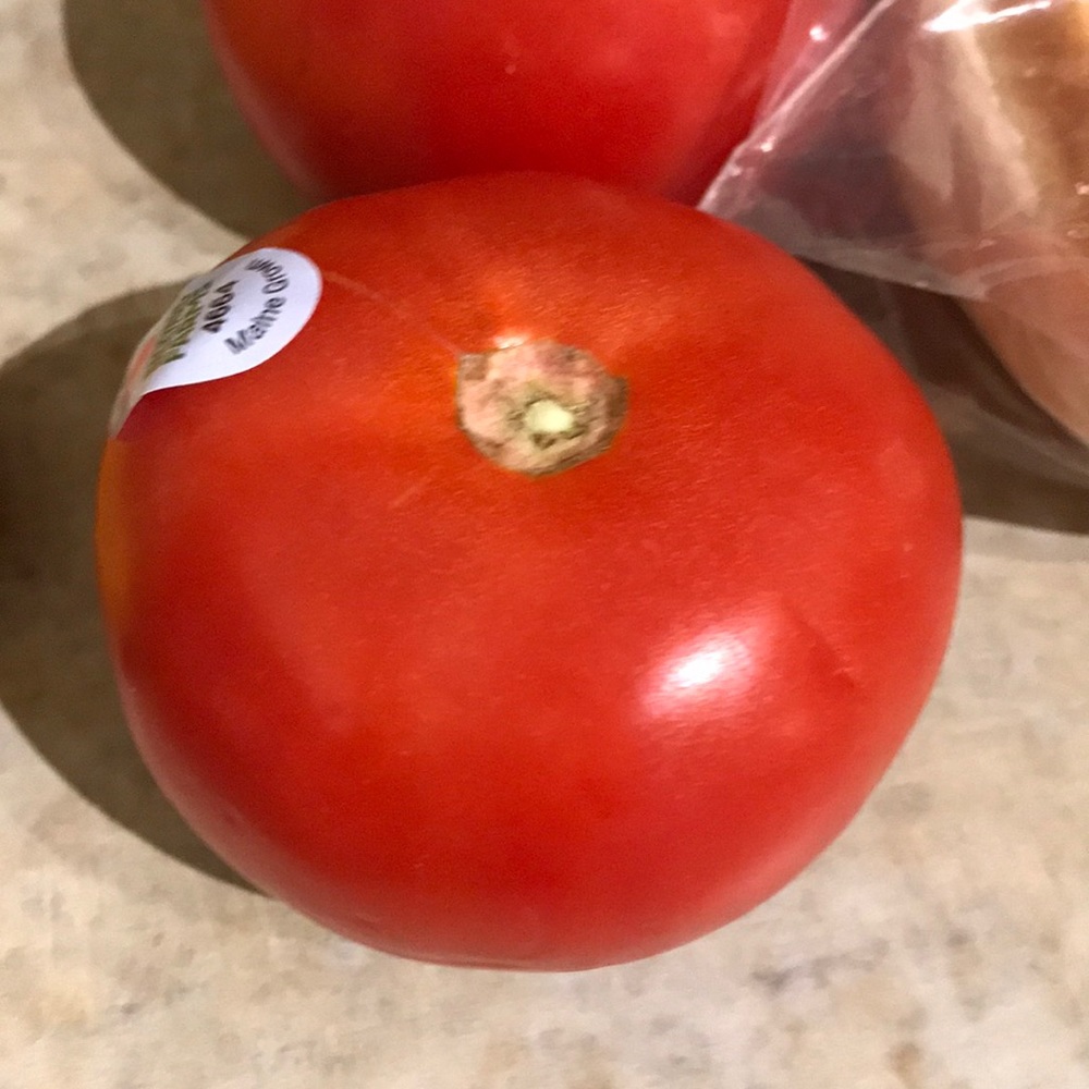 Meet your Posher, Gwenn